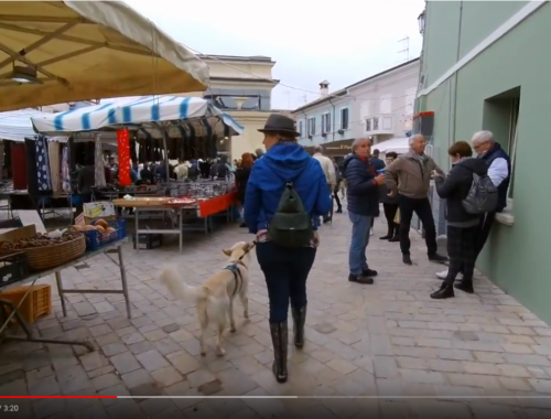 il video di cesenatico 2018 anna e willy per il mercatino