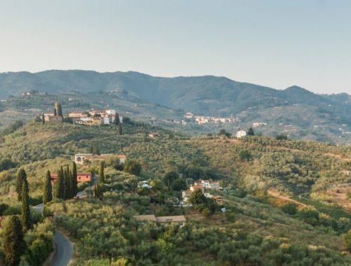 Vista di Massa e Cozzile