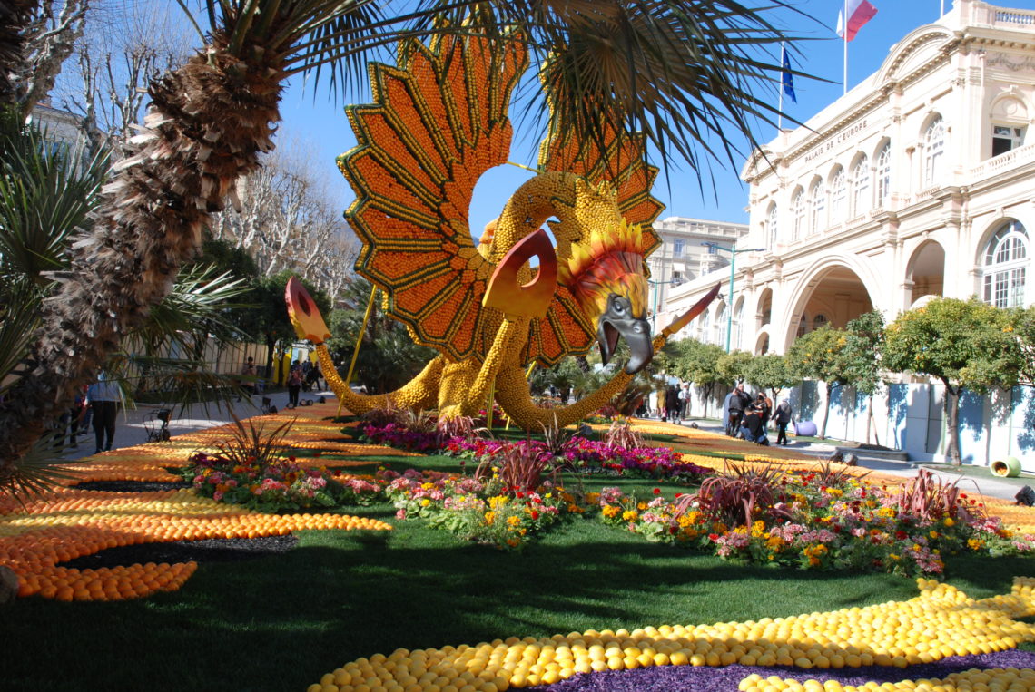 una fenice fatta di agrumi